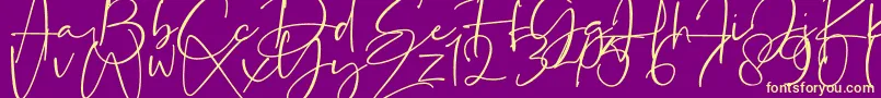 La Paloma-Schriftart – Gelbe Schriften auf violettem Hintergrund