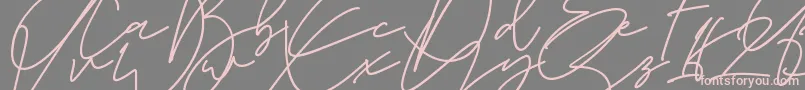La storia Demo Font – Pink Fonts on Gray Background