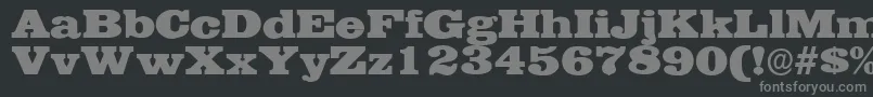 EgyptianwideRegular Font – Gray Fonts on Black Background