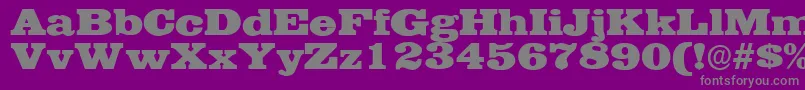 EgyptianwideRegular Font – Gray Fonts on Purple Background