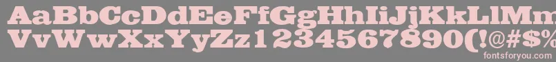 EgyptianwideRegular Font – Pink Fonts on Gray Background