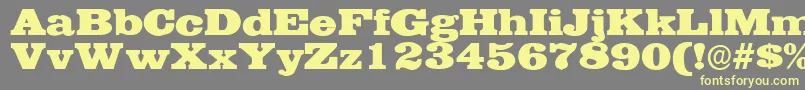 EgyptianwideRegular Font – Yellow Fonts on Gray Background