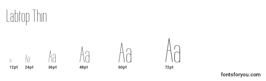 Labtop Thin Font Sizes