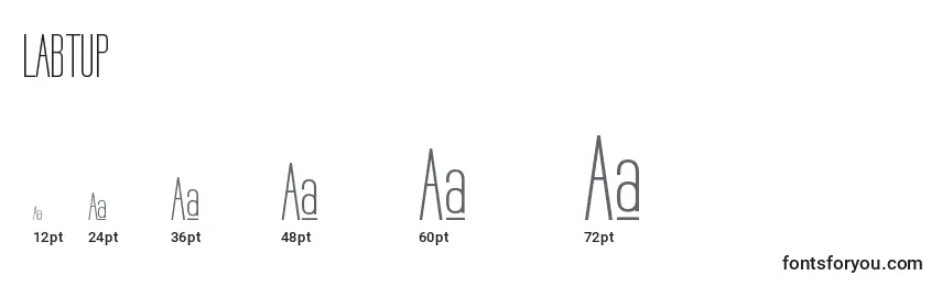 LABTUP   (132106) Font Sizes