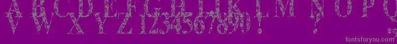 Шрифт Lace Dreams – серые шрифты на фиолетовом фоне