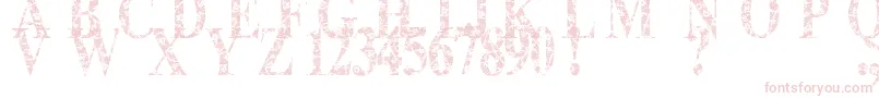 Fonte Lace Dreams – fontes rosa em um fundo branco