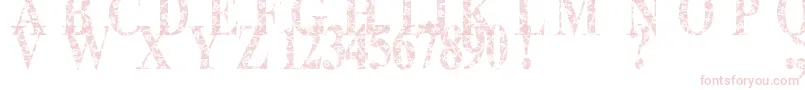 Lace Dreams-Schriftart – Rosa Schriften auf weißem Hintergrund