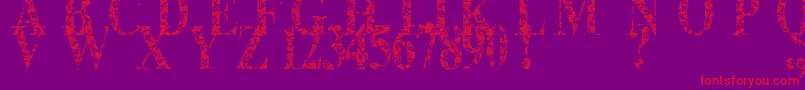 Шрифт Lace Dreams – красные шрифты на фиолетовом фоне