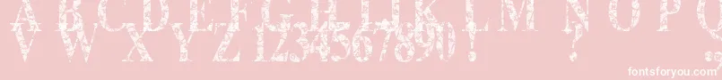 フォントLace Dreams – ピンクの背景に白い文字