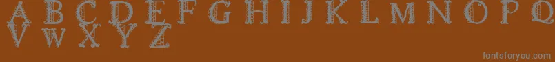 Шрифт LACETRIM – серые шрифты на коричневом фоне