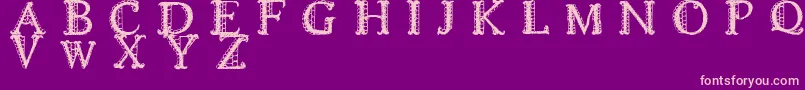LACETRIM Font – Pink Fonts on Purple Background