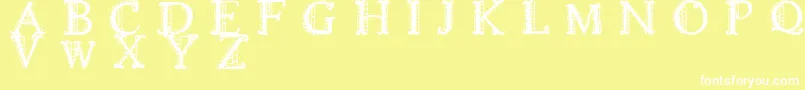 LACETRIM Font – White Fonts on Yellow Background