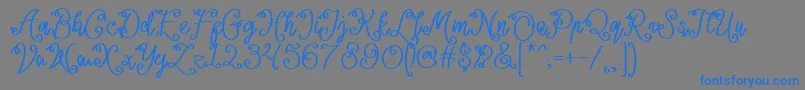Lacoruna  Font – Blue Fonts on Gray Background