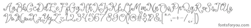 Lacoruna  Font – Gray Fonts on White Background