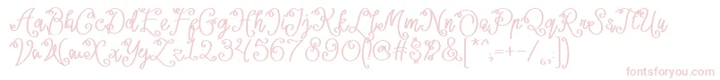 Lacoruna  Font – Pink Fonts