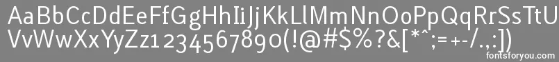 LACURG   Font – White Fonts on Gray Background