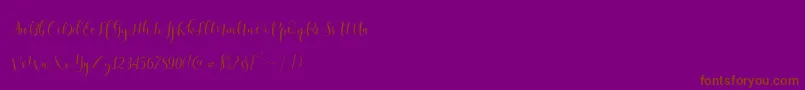 Ladies Script Font – Brown Fonts on Purple Background