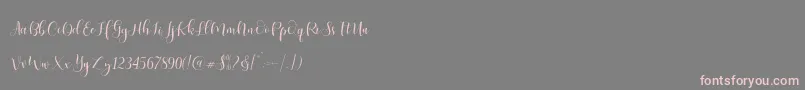 fuente Ladies Script – Fuentes Rosadas Sobre Fondo Gris