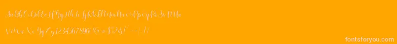 Ladies Script Font – Pink Fonts on Orange Background
