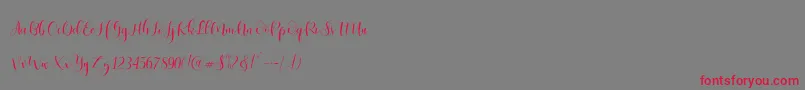 Ladies Script Font – Red Fonts on Gray Background