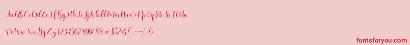 Ladies Script Font – Red Fonts on Pink Background