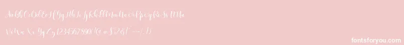 Ladies Script Font – White Fonts on Pink Background