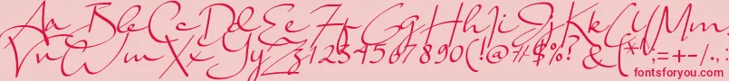 Lady Jasmine Font – Red Fonts on Pink Background