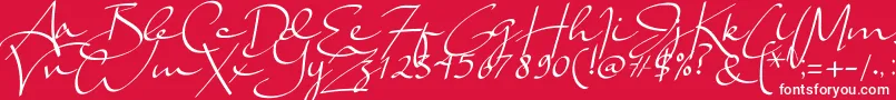 Lady Jasmine Font – White Fonts on Red Background