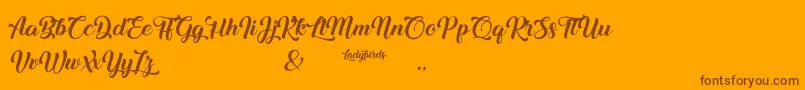Ladybirds Font – Brown Fonts on Orange Background