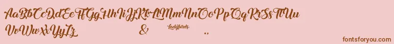 Ladybirds Font – Brown Fonts on Pink Background