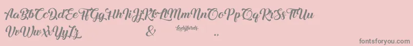 Ladybirds Font – Gray Fonts on Pink Background