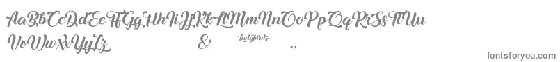 Ladybirds Font – Gray Fonts on White Background