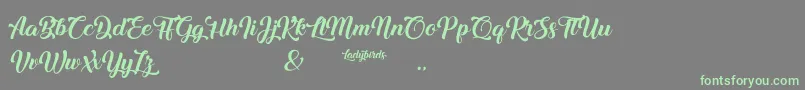 Ladybirds Font – Green Fonts on Gray Background