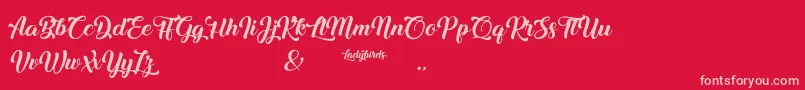 Ladybirds Font – Pink Fonts on Red Background