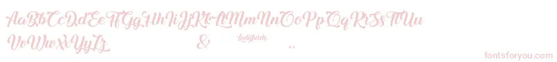 Ladybirds Font – Pink Fonts on White Background