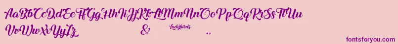 Ladybirds Font – Purple Fonts on Pink Background