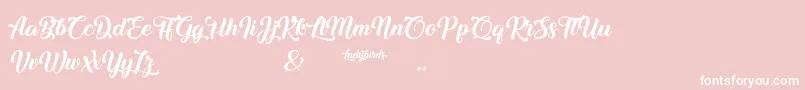 Ladybirds Font – White Fonts on Pink Background