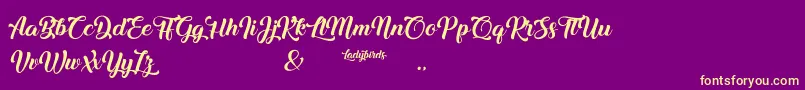 Ladybirds Font – Yellow Fonts on Purple Background
