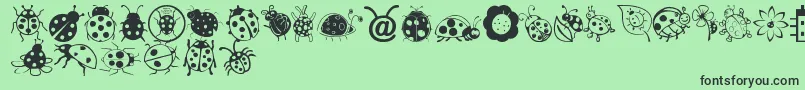 Ladybug Dings Font – Black Fonts on Green Background