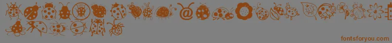 Ladybug Dings Font – Brown Fonts on Gray Background