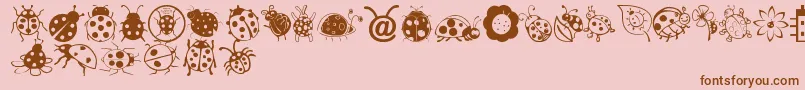 Ladybug Dings Font – Brown Fonts on Pink Background