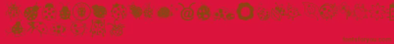 Ladybug Dings Font – Brown Fonts on Red Background