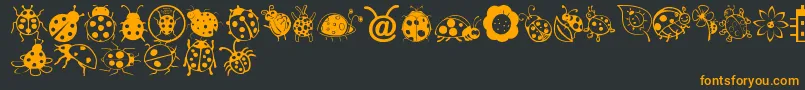 Ladybug Dings Font – Orange Fonts on Black Background