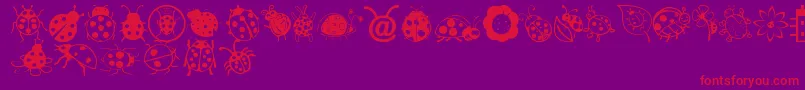 Ladybug Dings Font – Red Fonts on Purple Background
