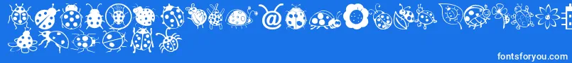 Ladybug Dings Font – White Fonts on Blue Background