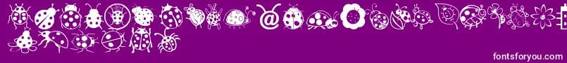 Ladybug Dings Font – White Fonts on Purple Background