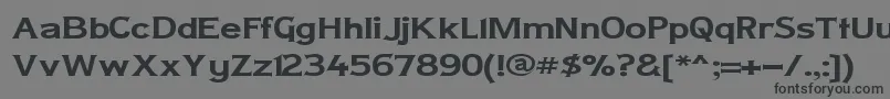 LADYCW   Font – Black Fonts on Gray Background