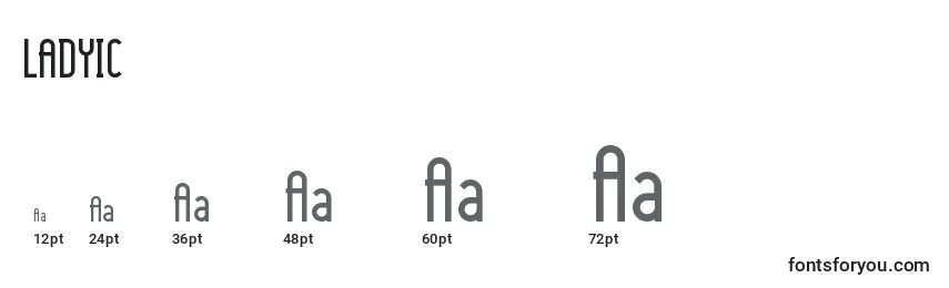 LADYIC   (132131) Font Sizes