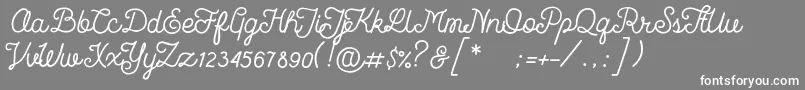 LaFaSalt Font – White Fonts on Gray Background
