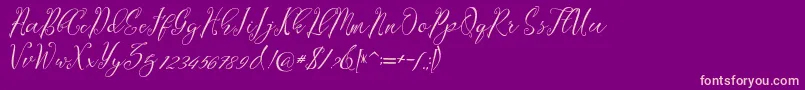 Lagena Font – Pink Fonts on Purple Background